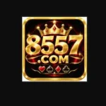 8557 Game